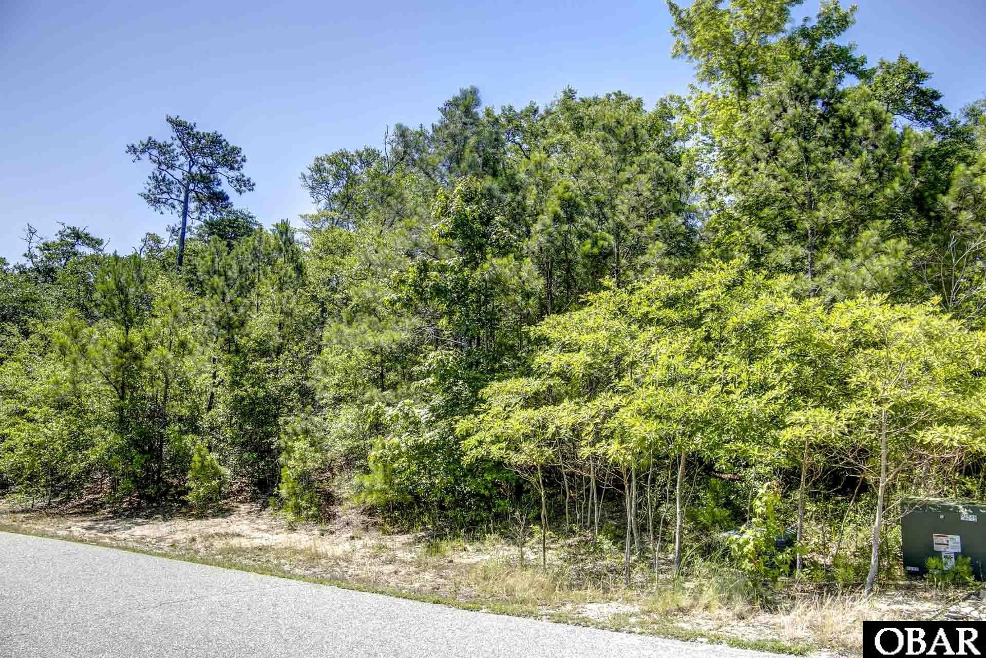 205 Old Holly Lane Lot 45