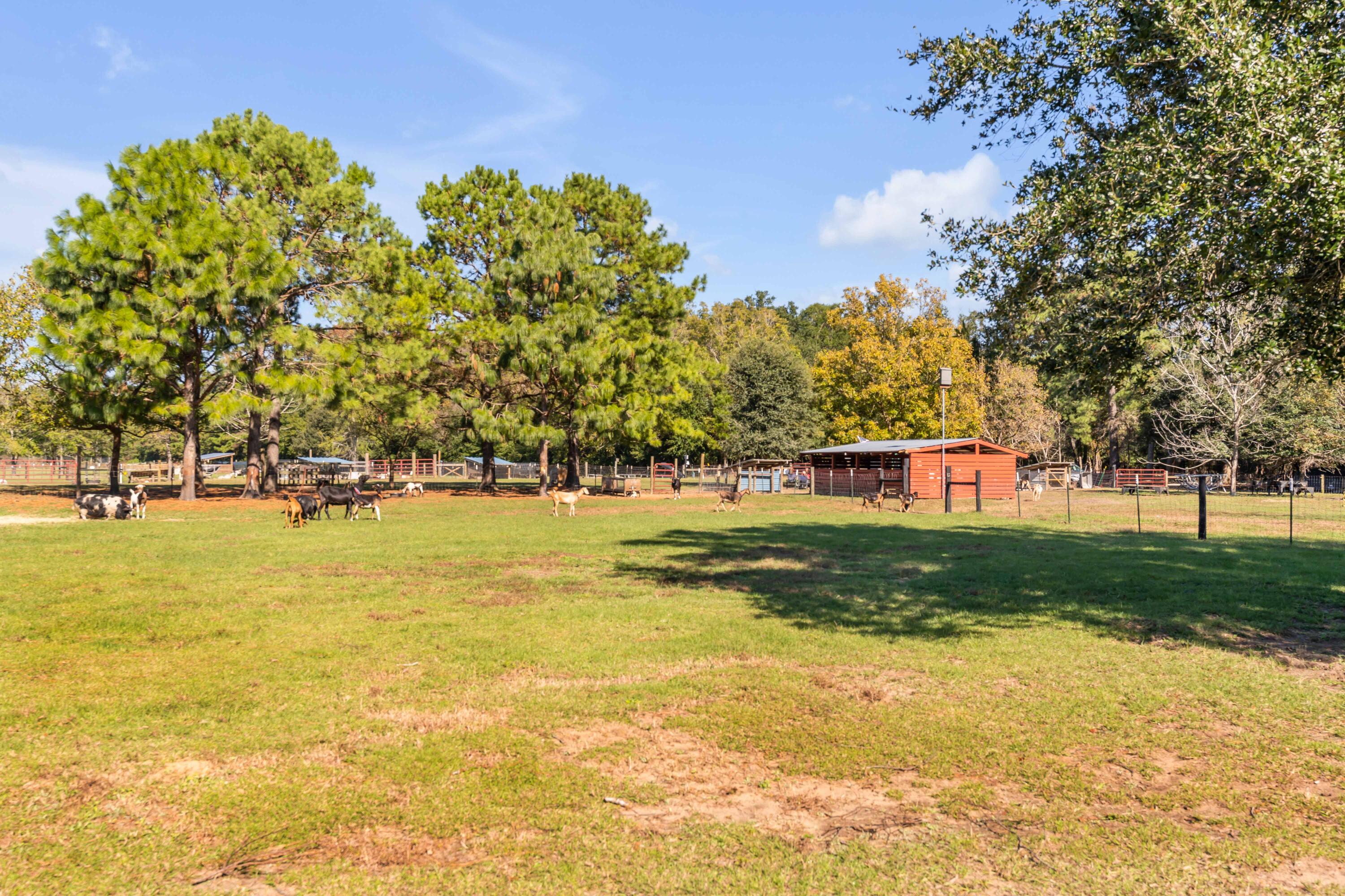 2134 Boatwright Road