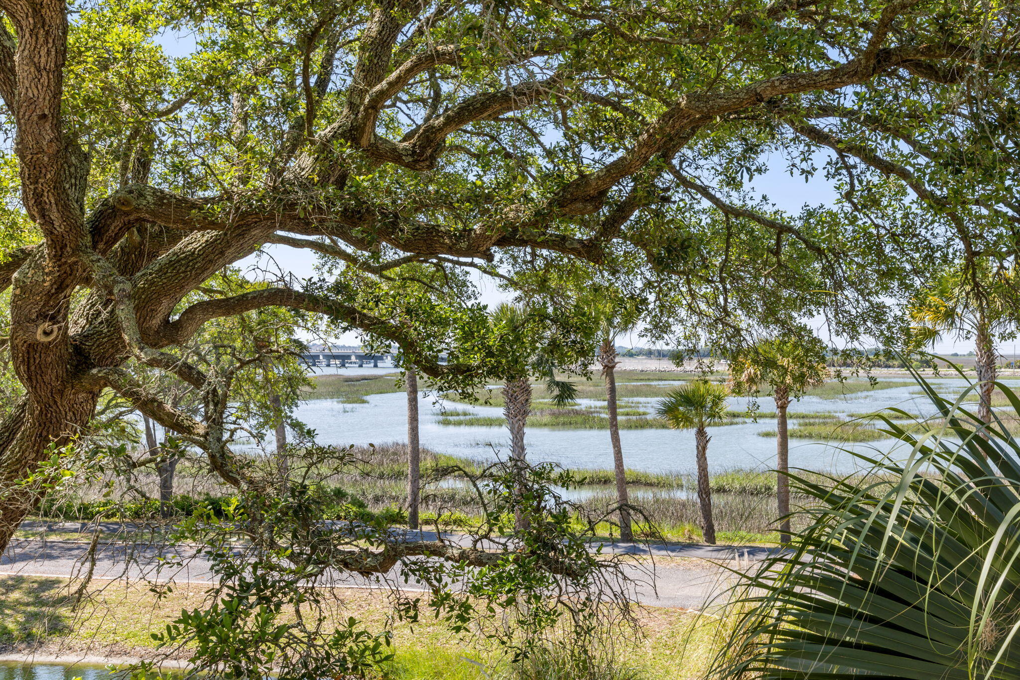 1623 Folly Creek Way # 7 Unit: D-7