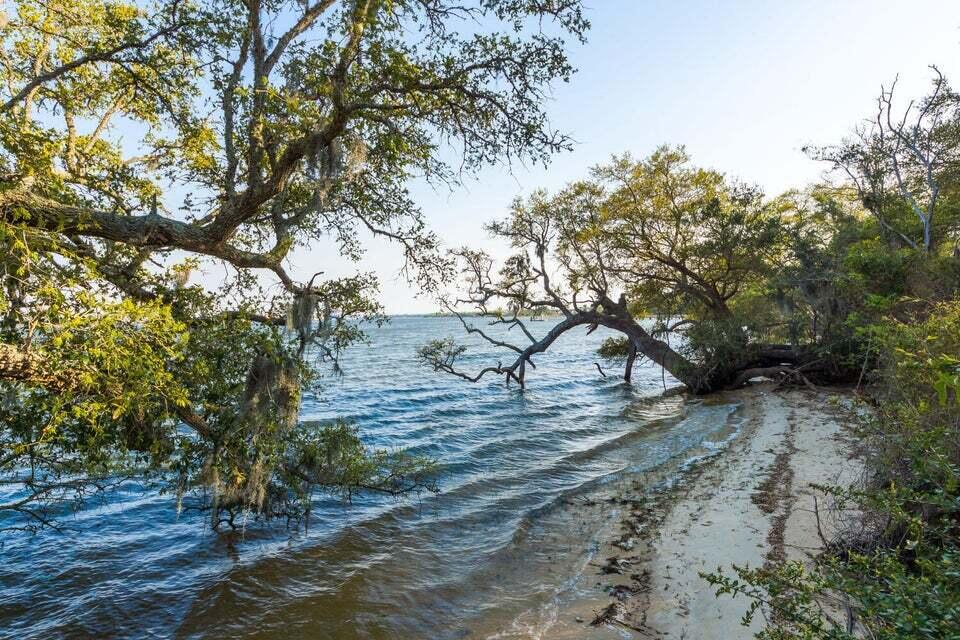 130 River Landing Drive # 1202