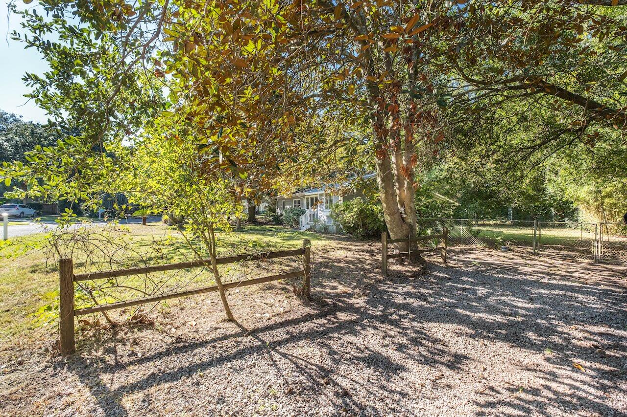 19 Joyce Avenue, Mount Pleasant