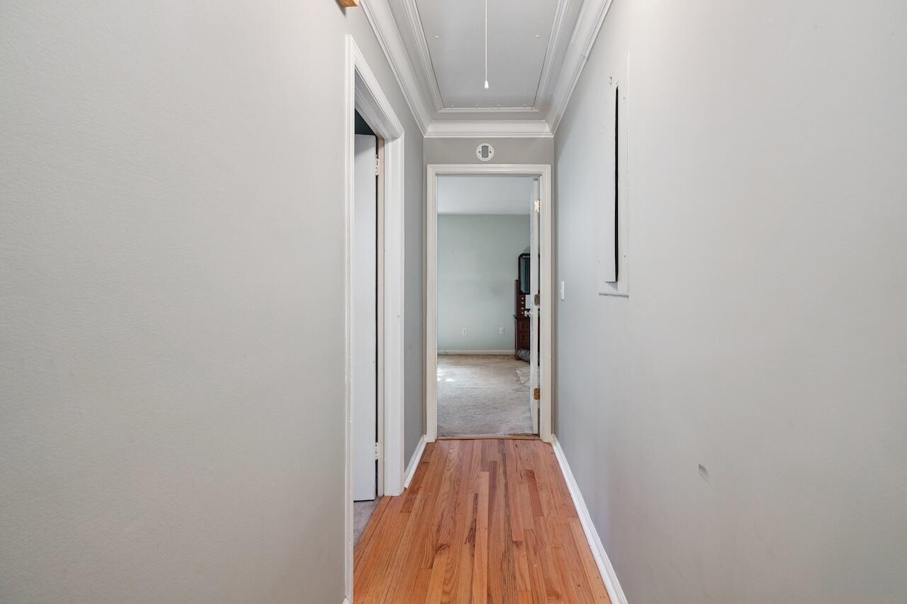 19 Joyce Avenue, Mount Pleasant