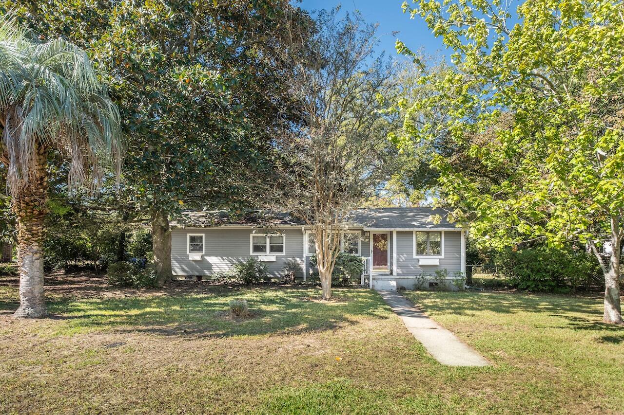 19 Joyce Avenue, Mount Pleasant