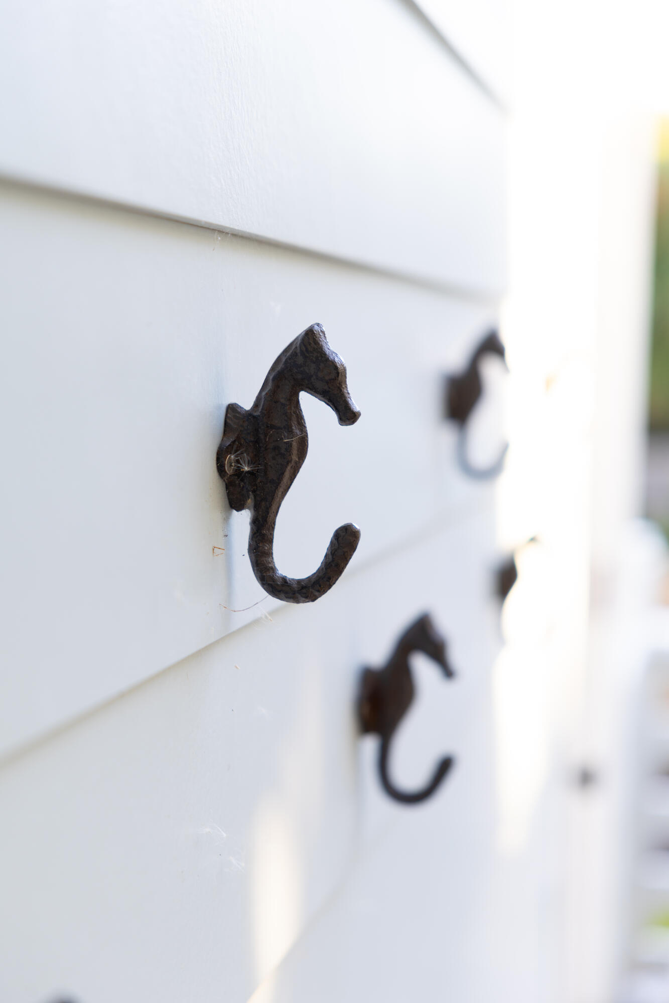 122 Carolina Boulevard