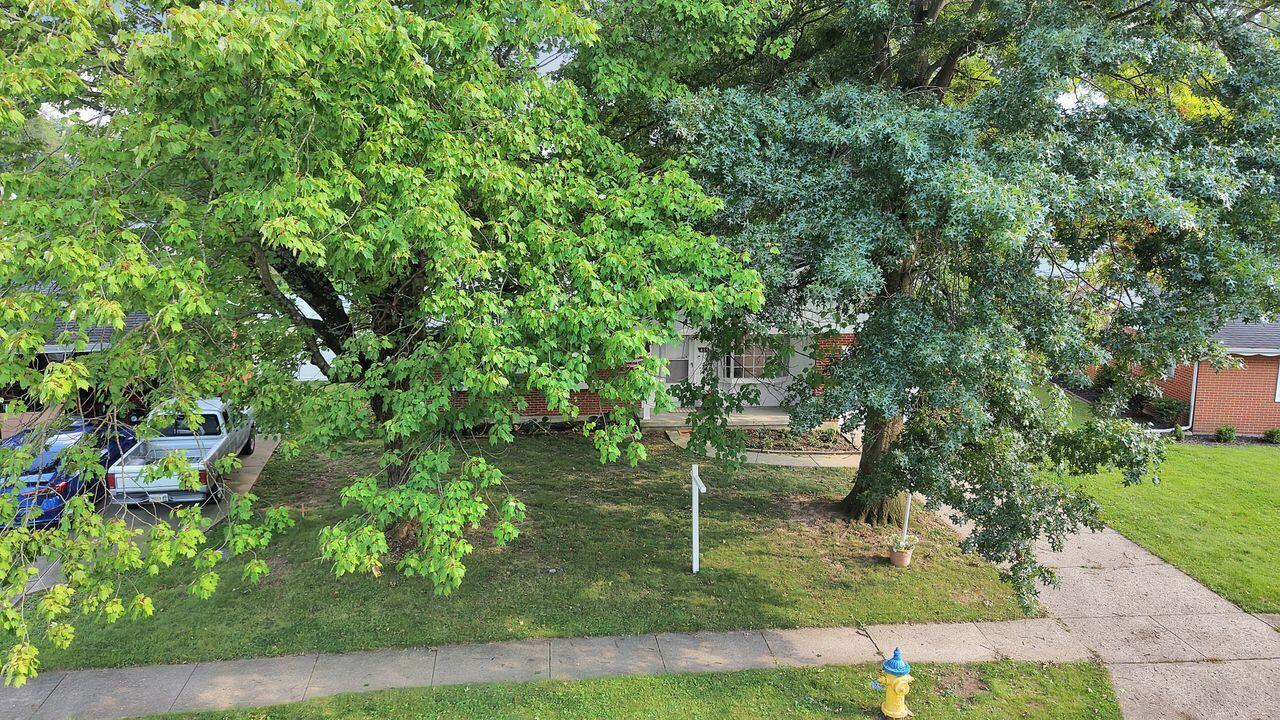 469 Alford Drive