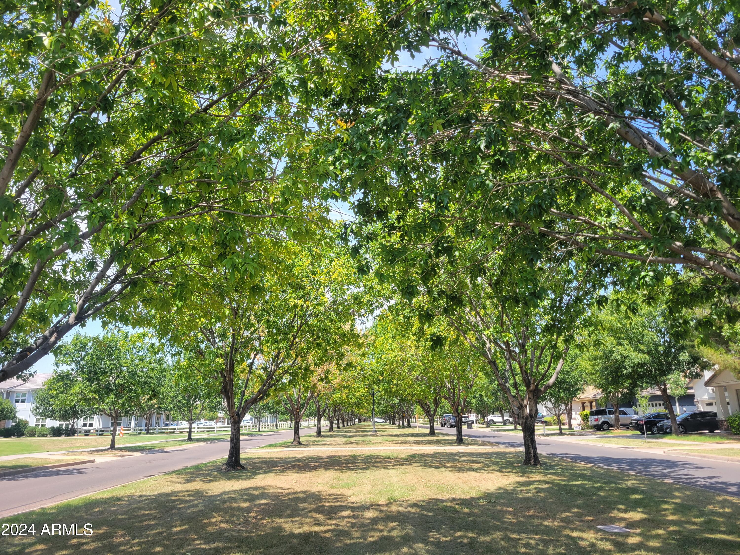 3360 E MORRISON RANCH Parkway