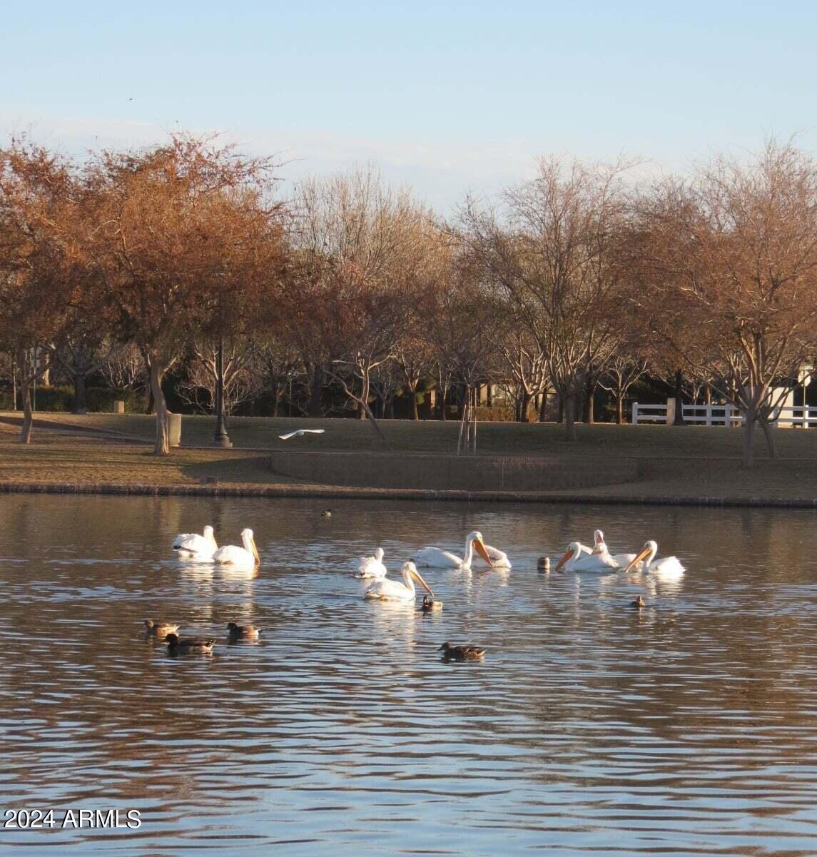 3360 E MORRISON RANCH Parkway