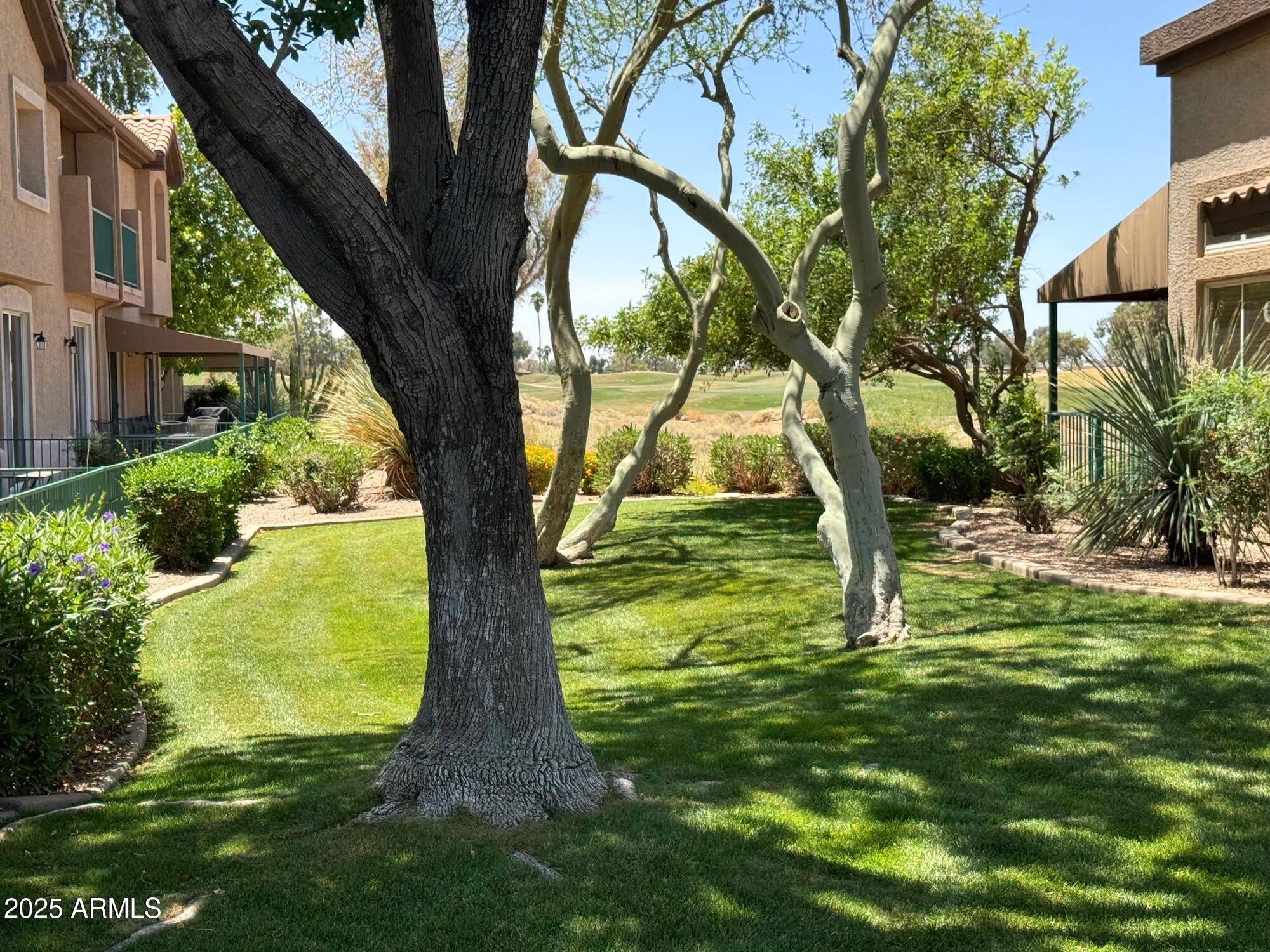 6535 E SUPERSTITION SPRINGS Boulevard 217