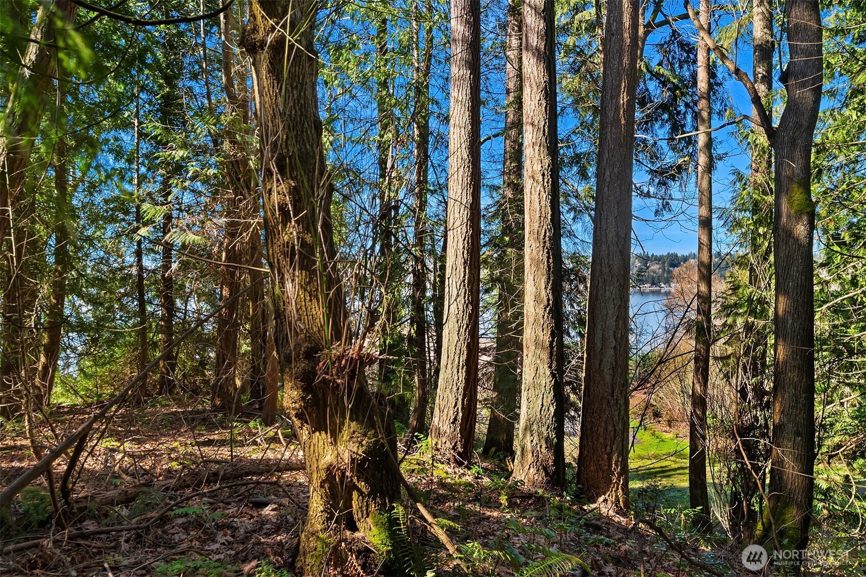 11 XX 205th Avenue NE