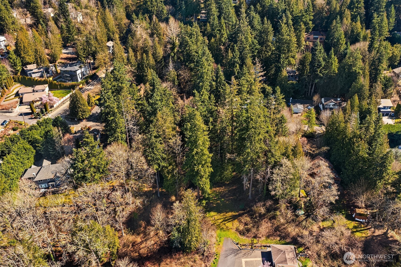 11 XX 205th Avenue NE