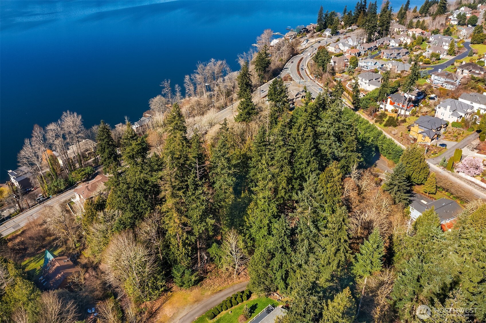 11 XX 205th Avenue NE