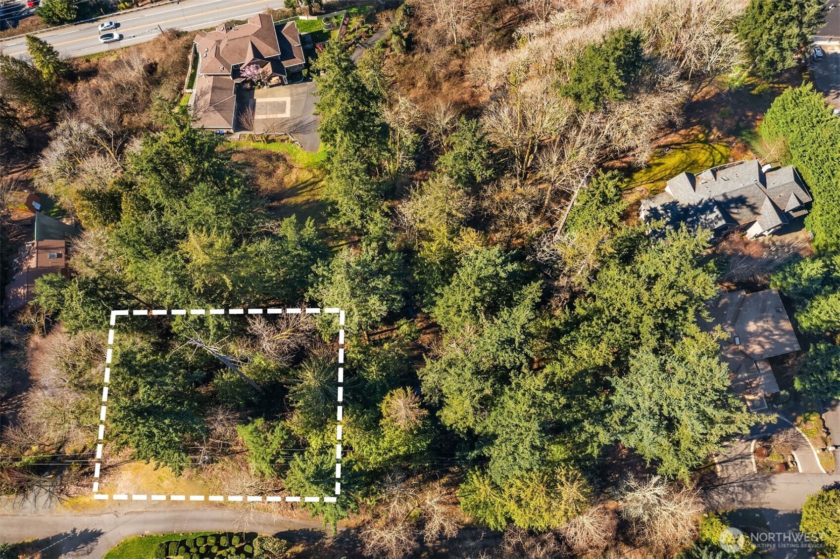 11 XX 205th Avenue NE