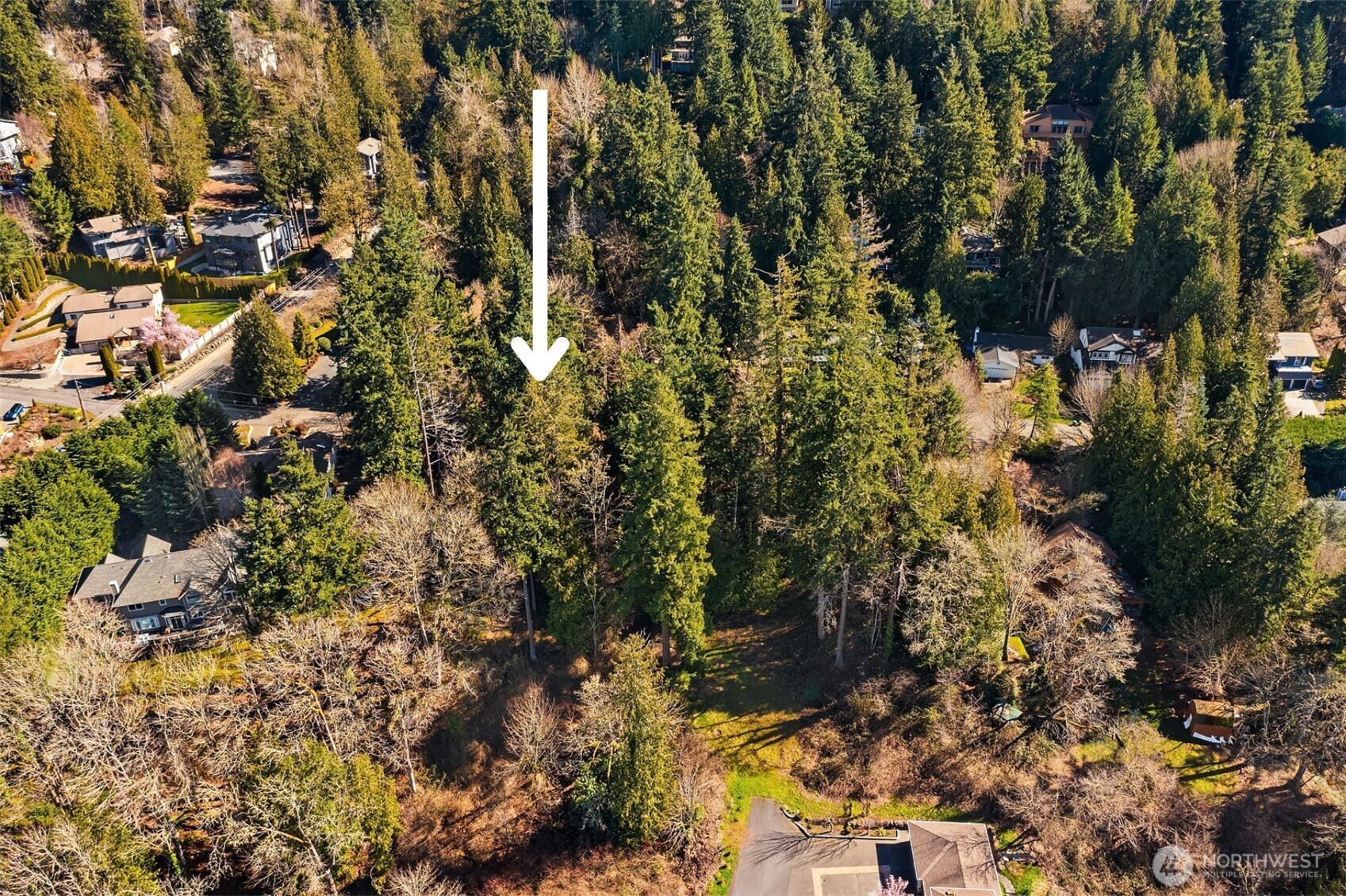 11 XX 205th Avenue NE