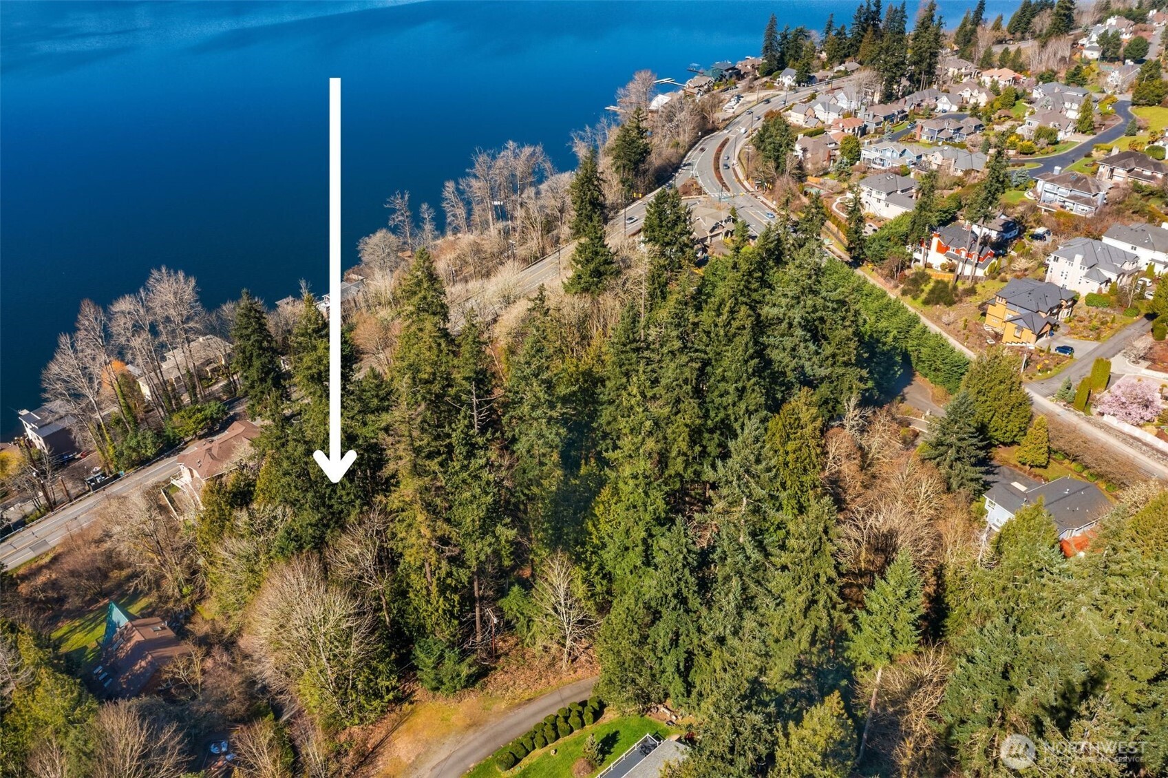 11 XX E Lake Sammamish Parkway NE