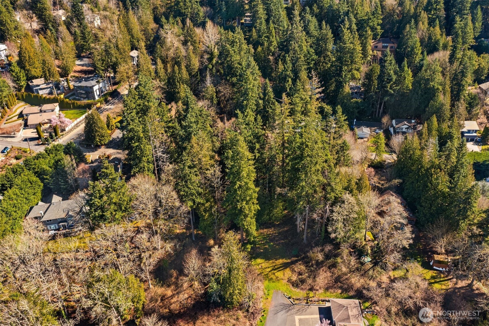 11 XX E Lake Sammamish Parkway NE