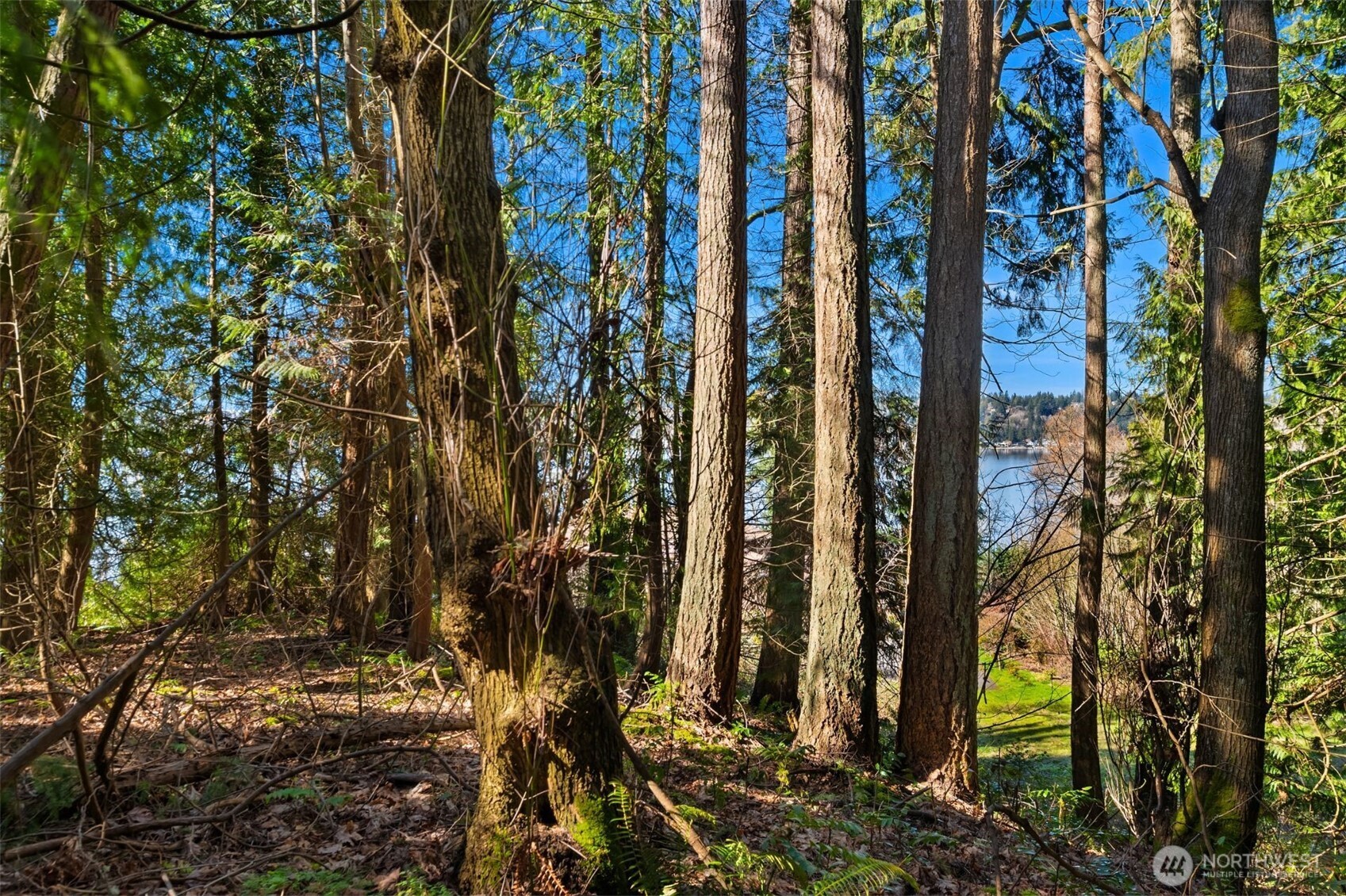 11 XX E Lake Sammamish Parkway NE