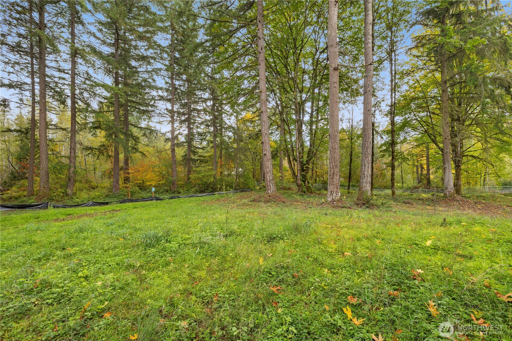 20721 NE 122nd Street