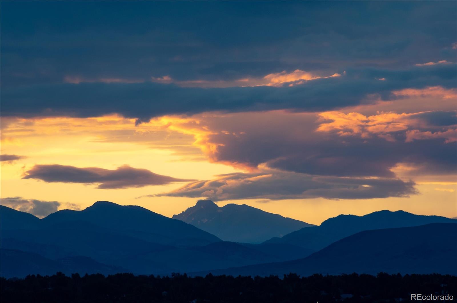 9203 Star Streak Circle