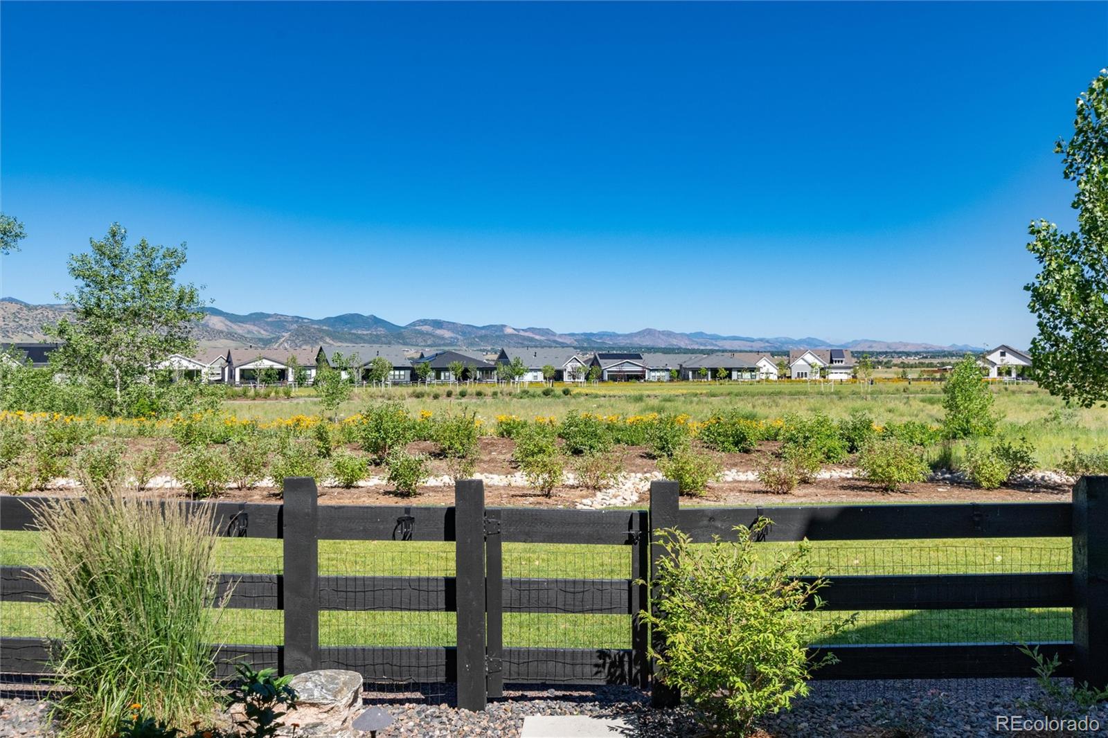 9203 Star Streak Circle