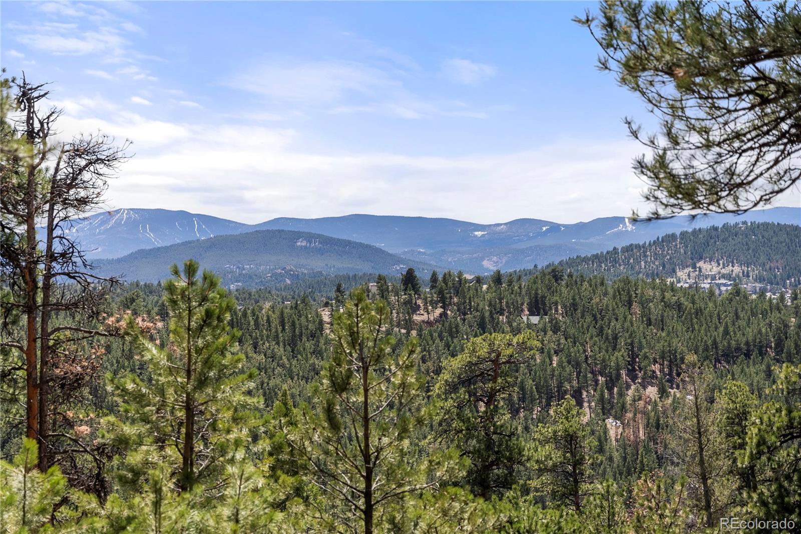 28890 Pinewood Vista Drive