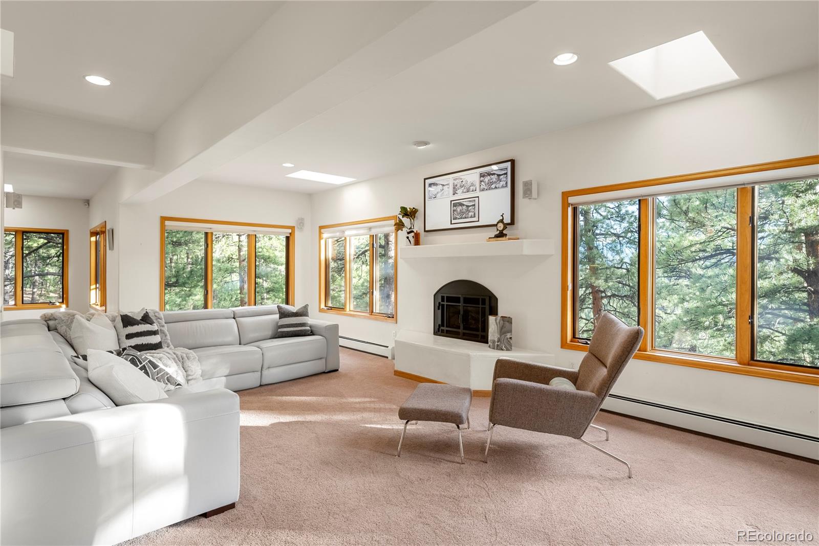 28890 Pinewood Vista Drive