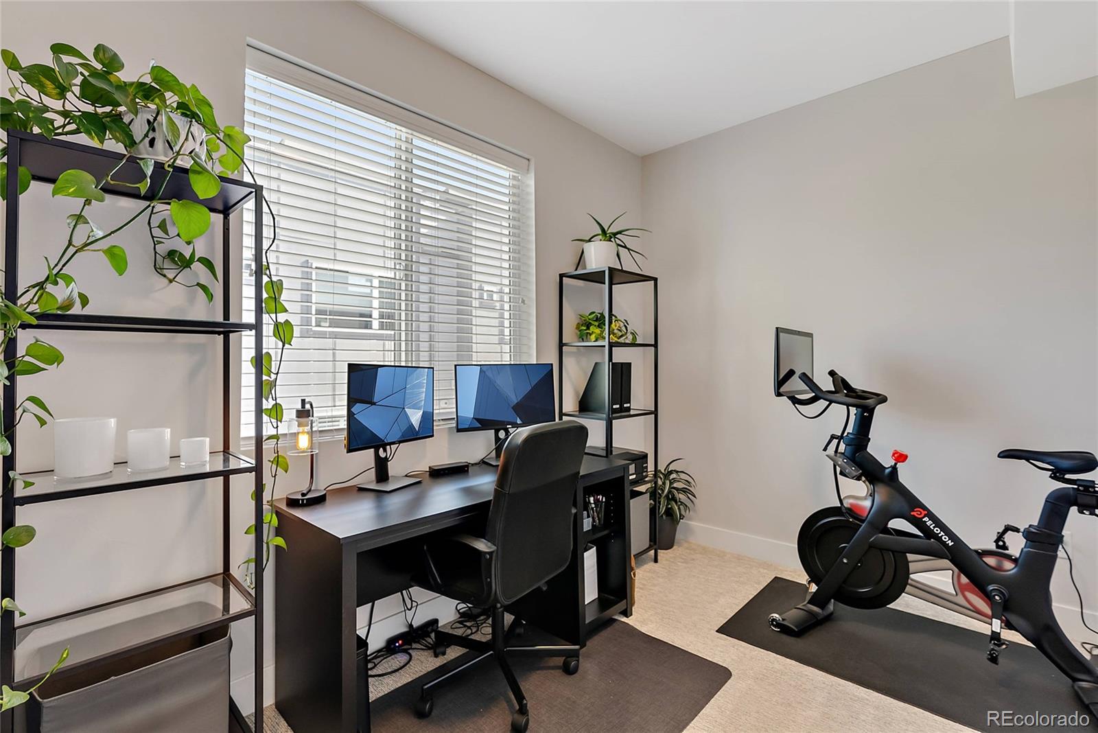 2939 W 23rd Avenue Unit: 6