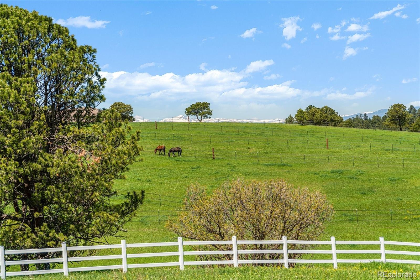 21761 Falcon Wing Road