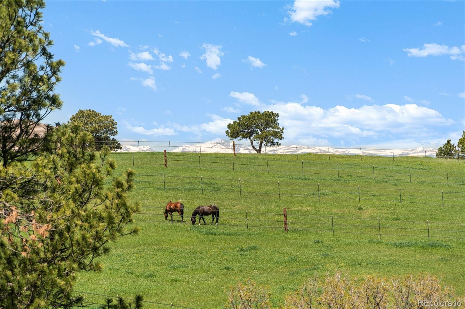 21761 Falcon Wing Road