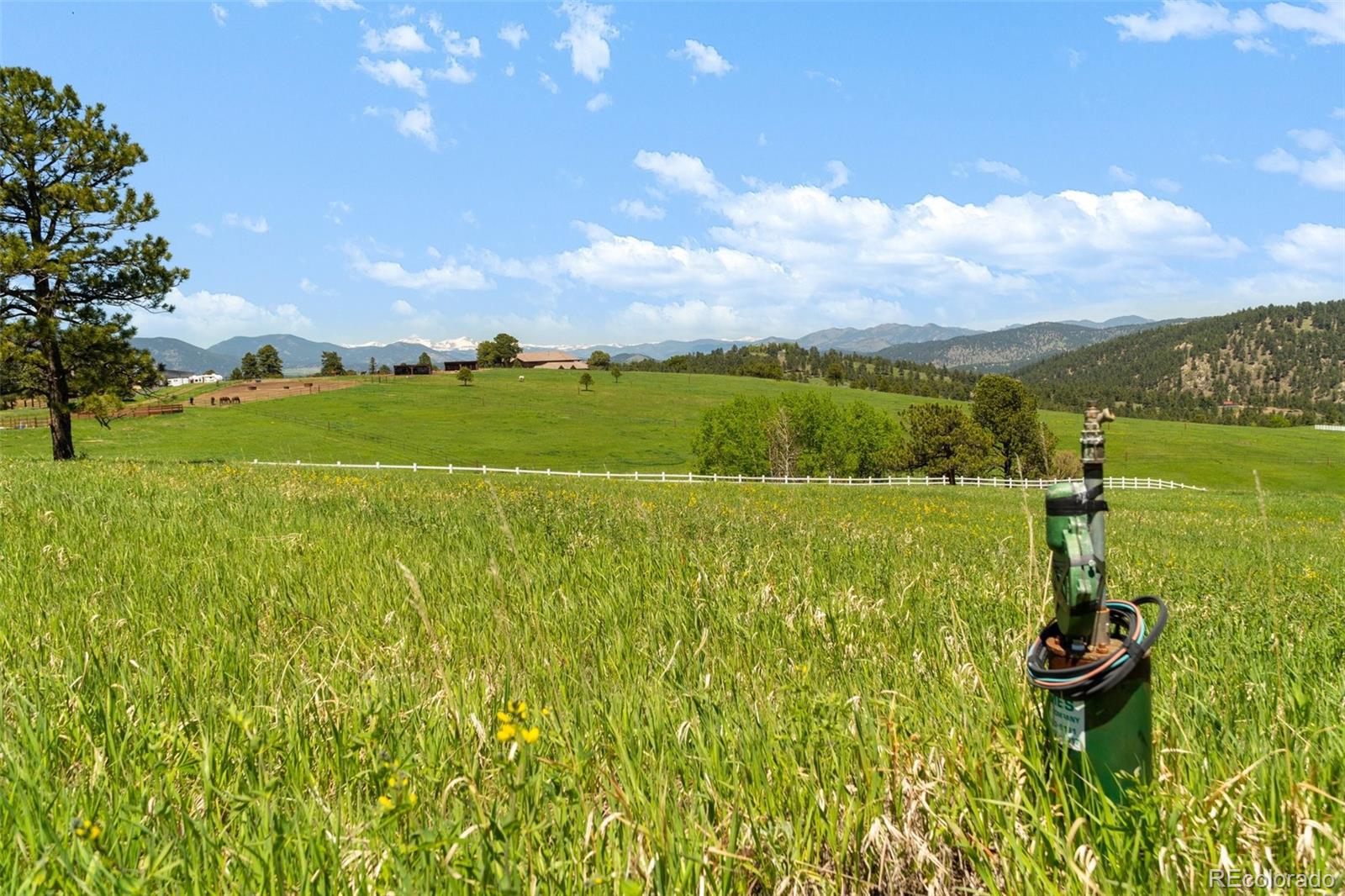 21761 Falcon Wing Road