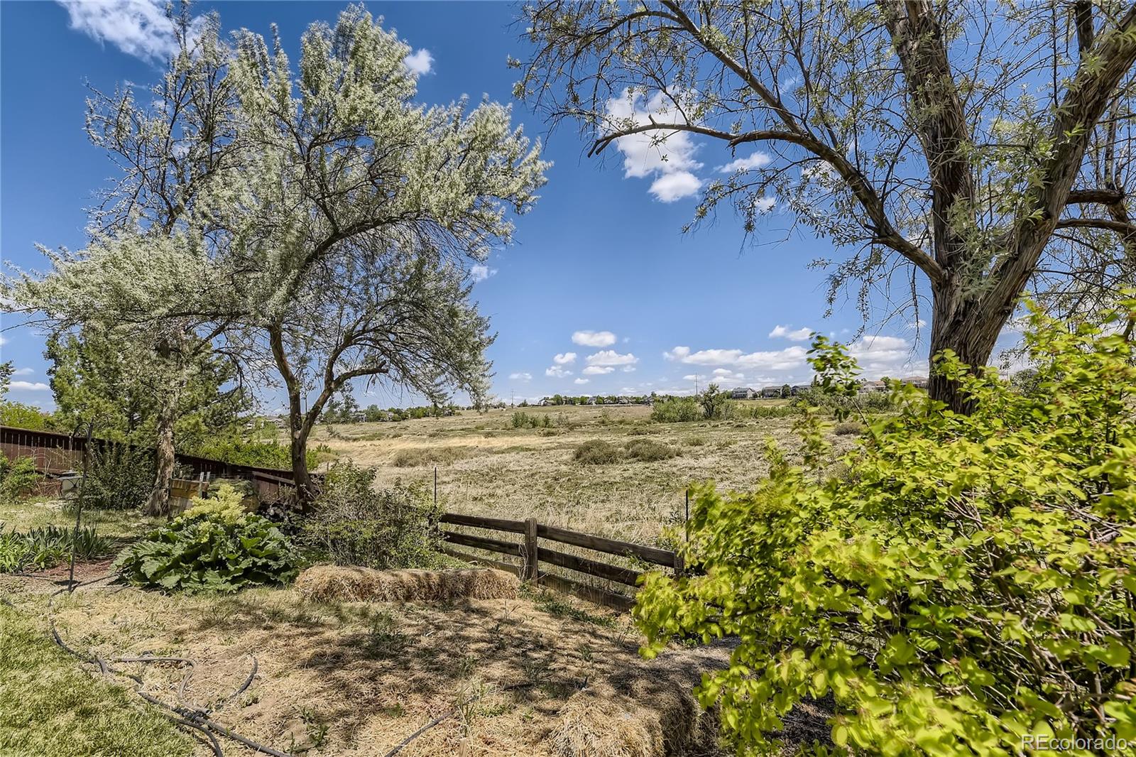 6705 Lionshead Parkway