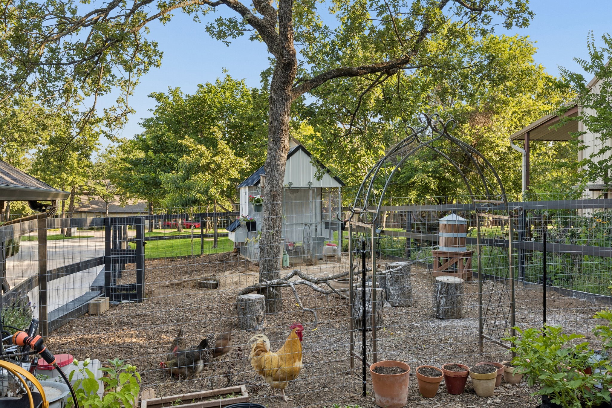 213 Shenandoah Court
