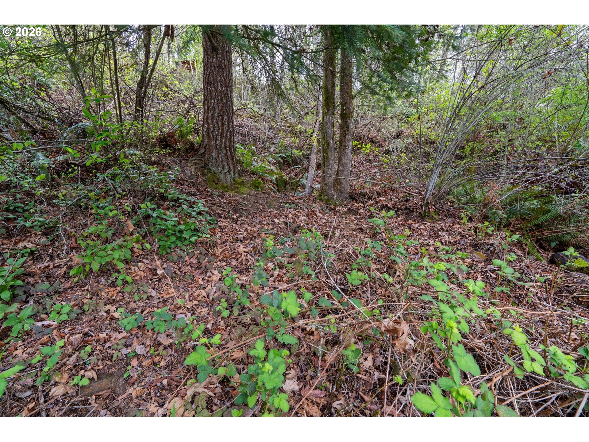 3408 NW HOLBROOK CT 148