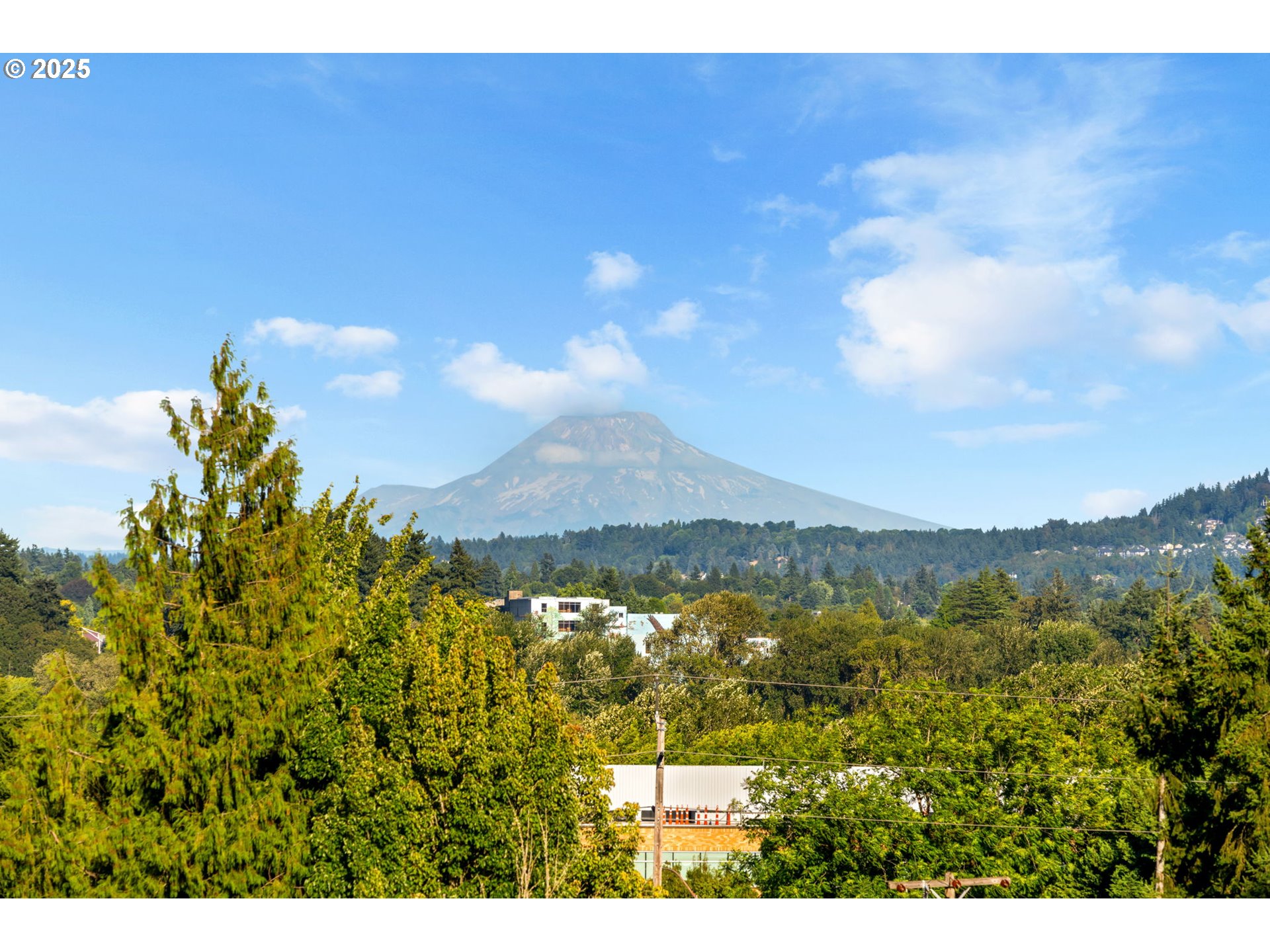 207 S NEBRASKA ST, Portland