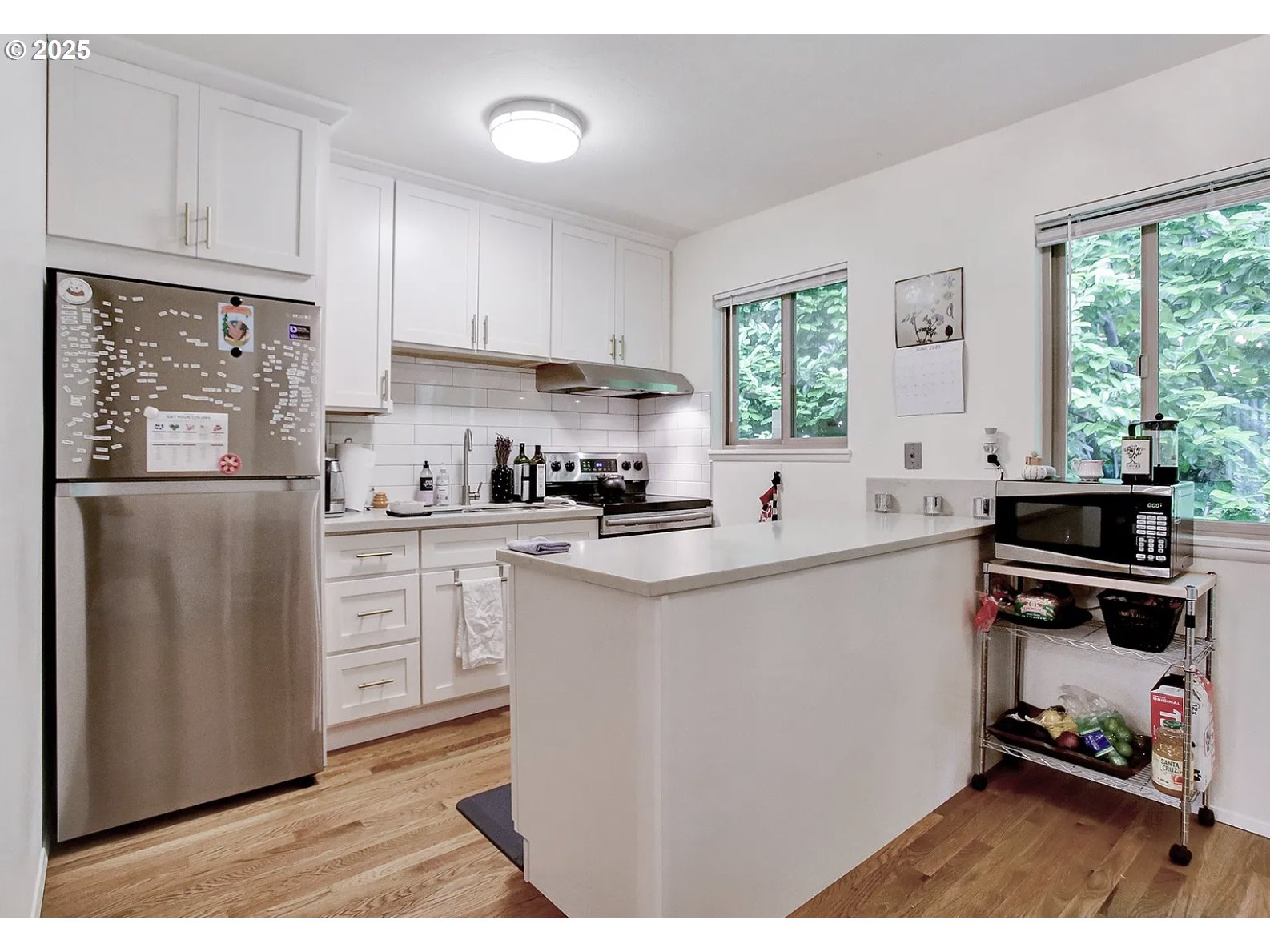 705 SE 27TH AVE, Portland