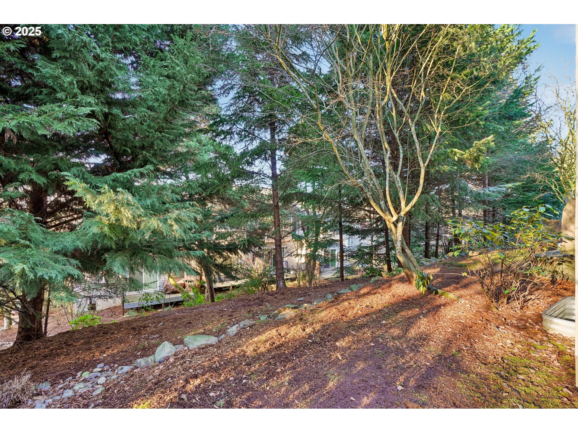 10797 SW CANTERBURY LN 101