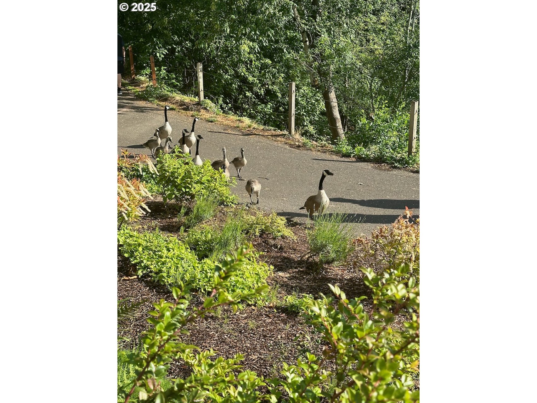 5110 S LANDING DR 103