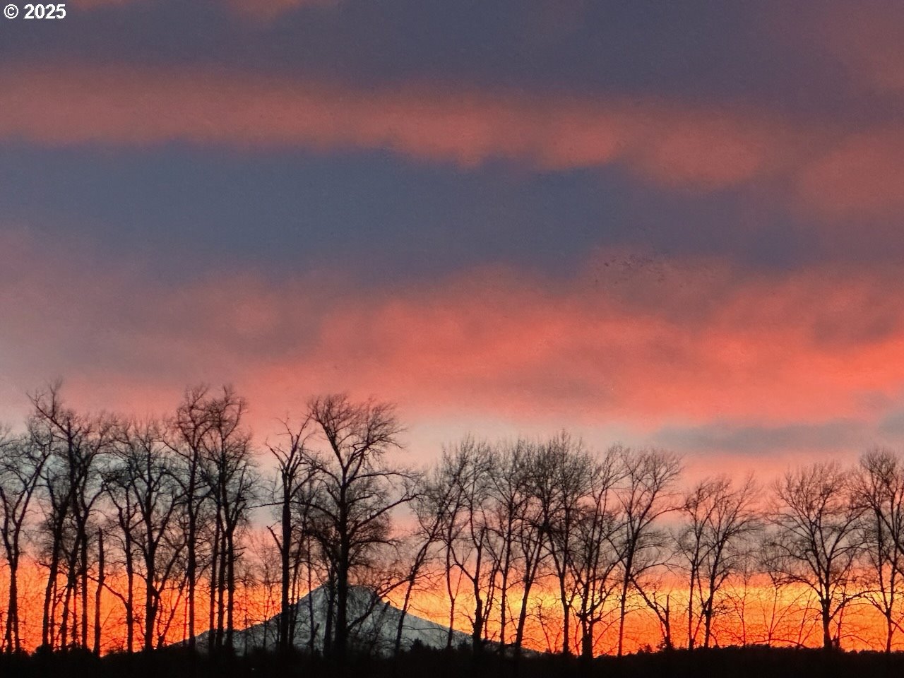 5110 S LANDING DR 103