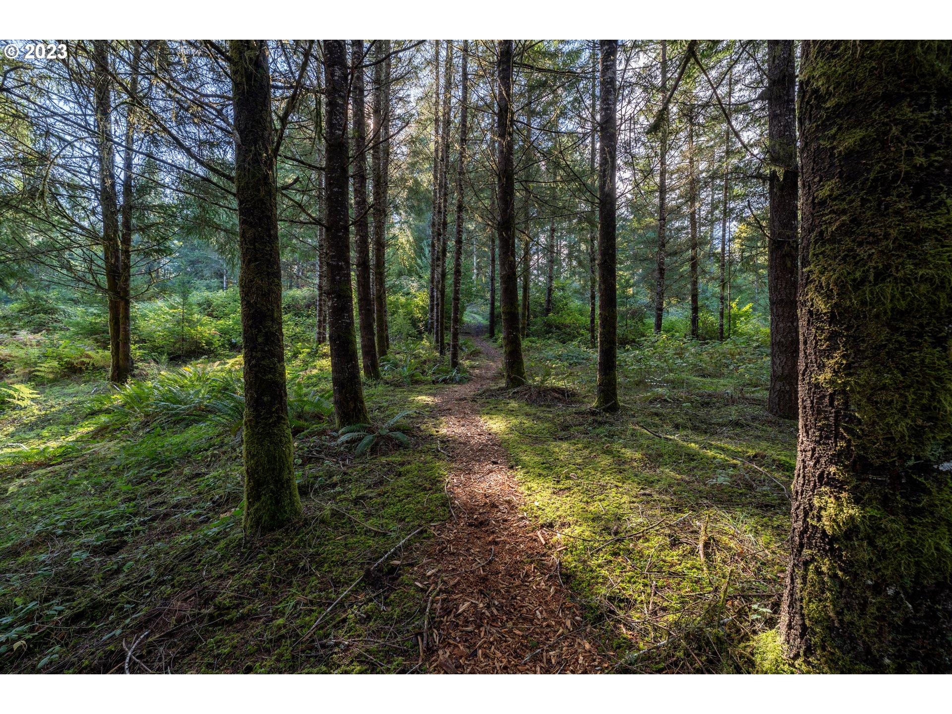 16345 NW Meadow Lake Rd