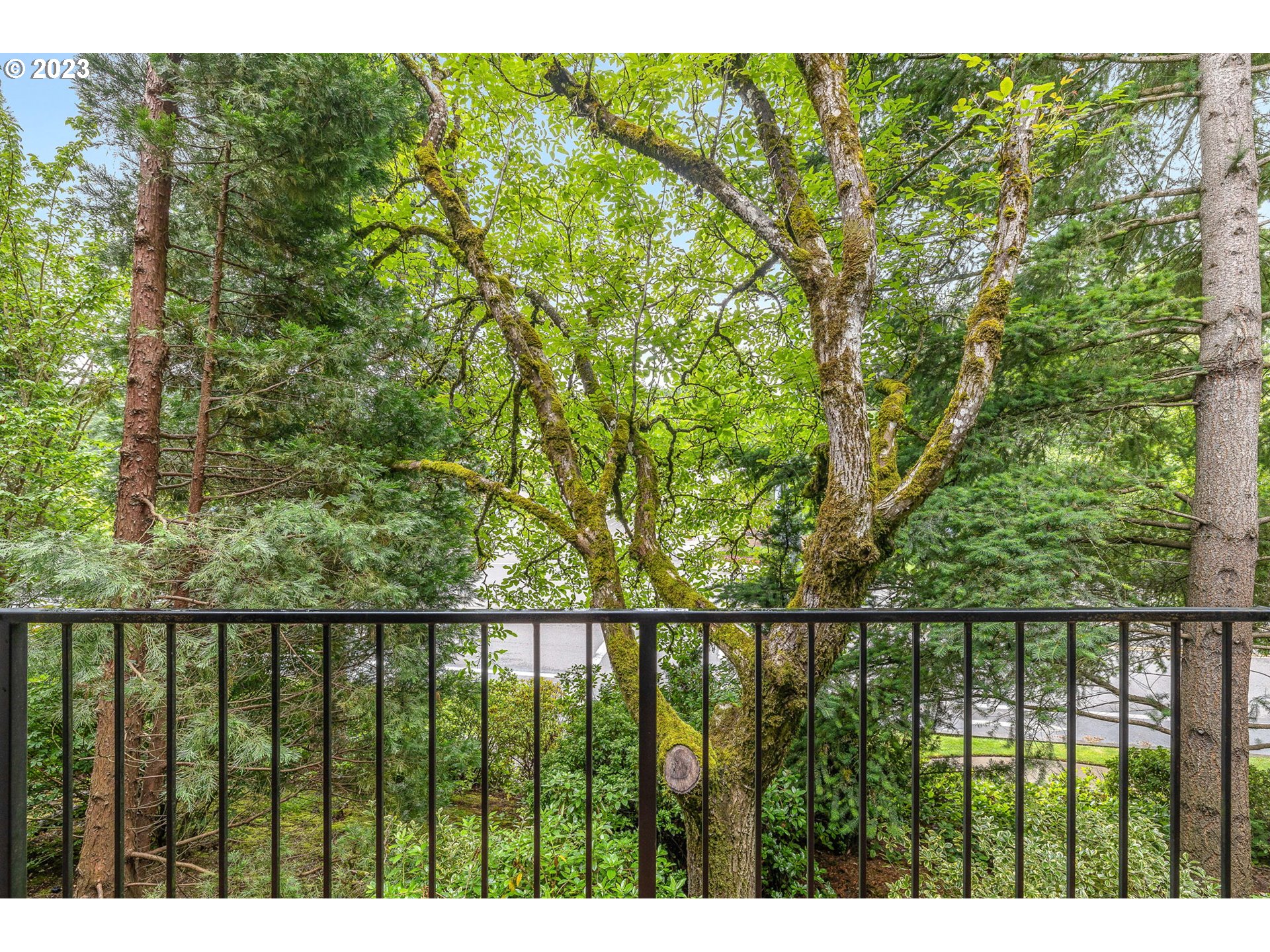 12844 BOONES FERRY RD #117