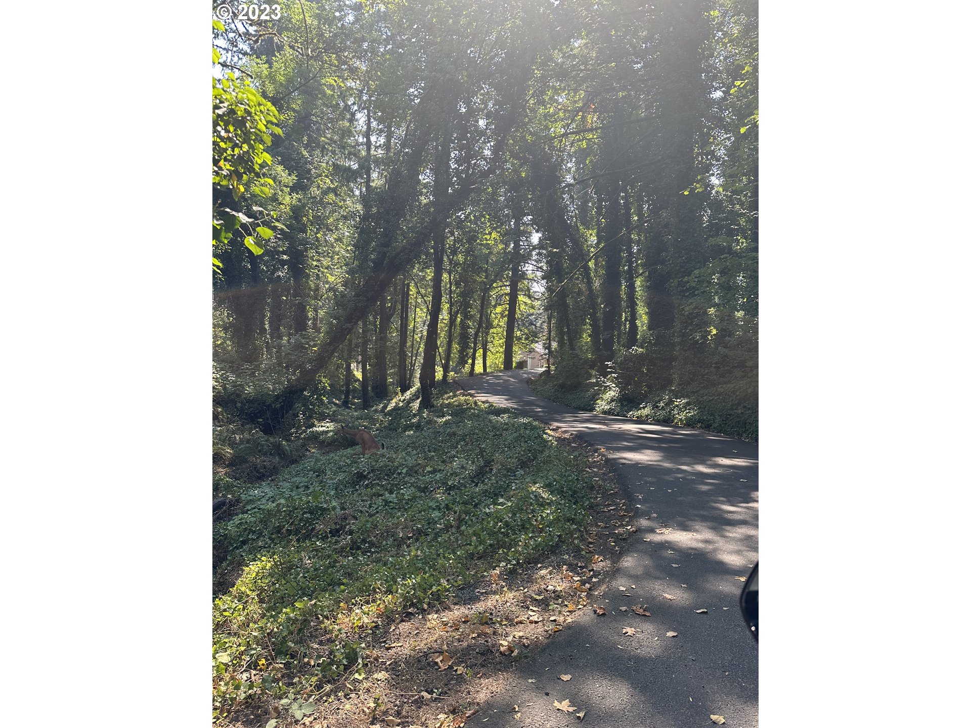 18815 Hilltop, Lake Oswego