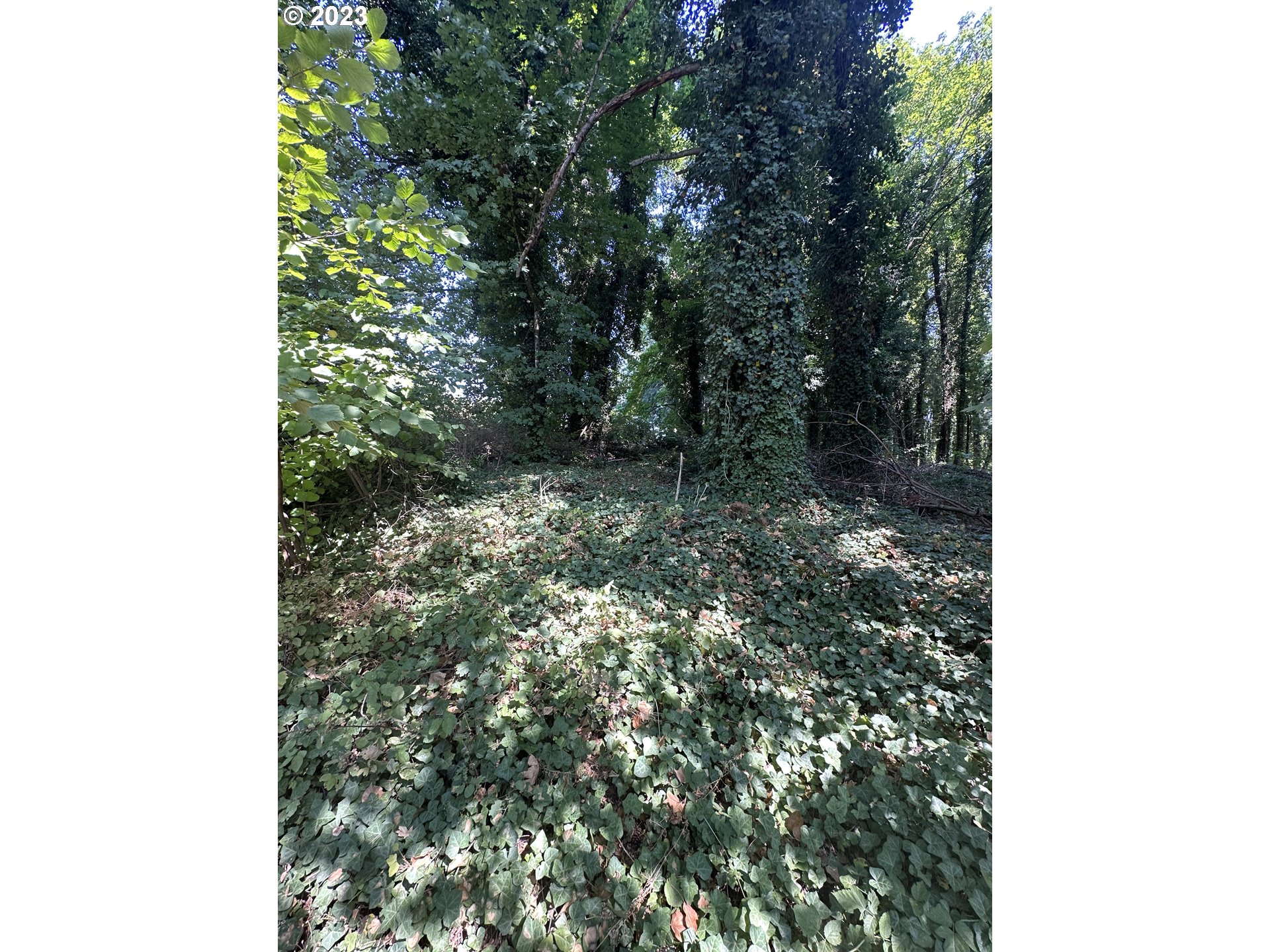 18815 Hilltop, Lake Oswego