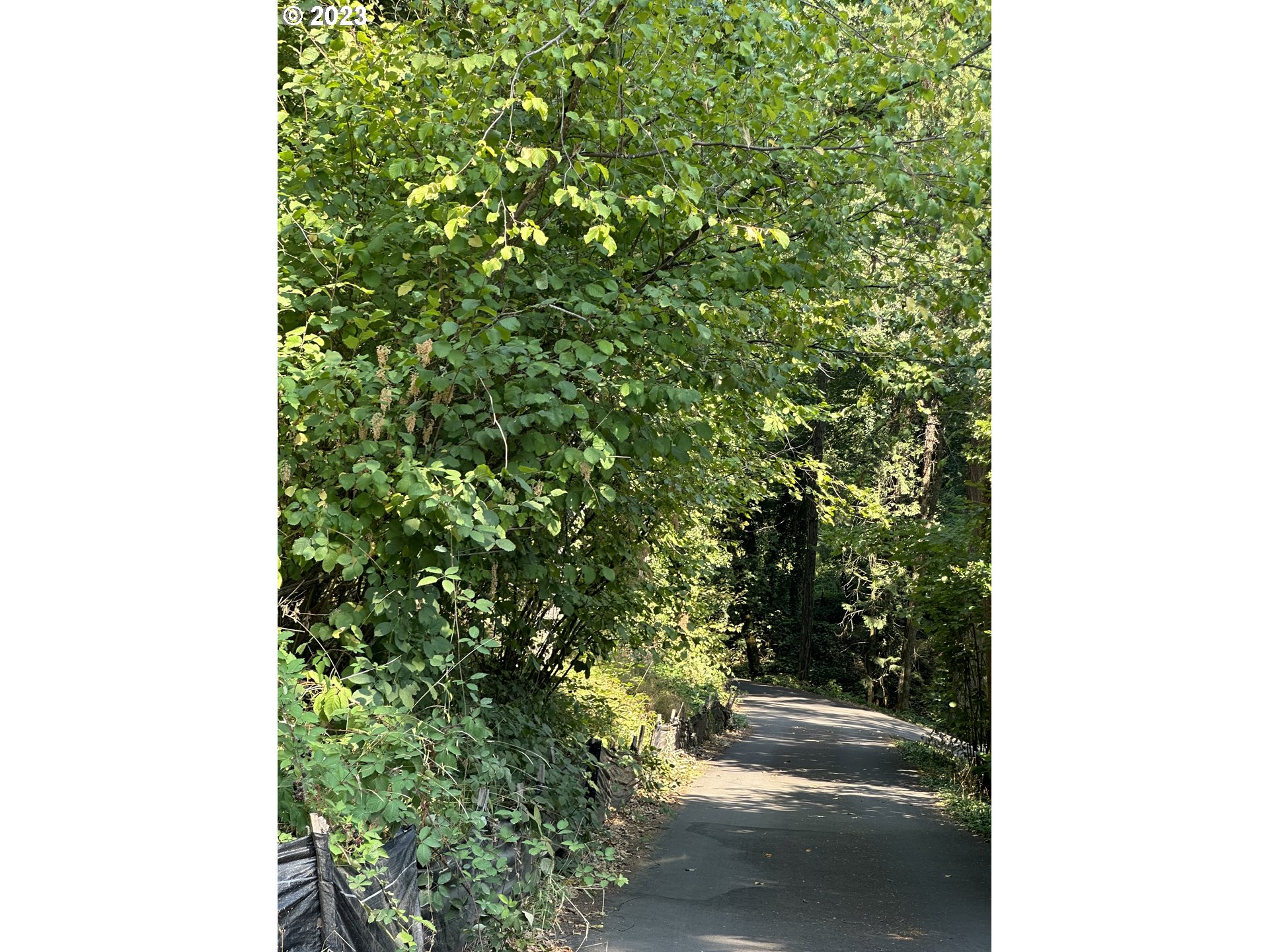 18815 Hilltop, Lake Oswego