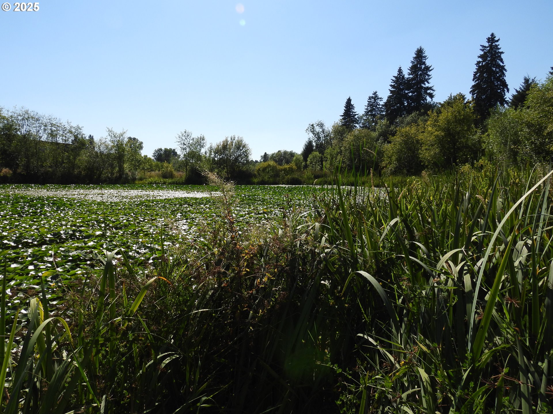 19130 SW 51ST AVE, Tualatin