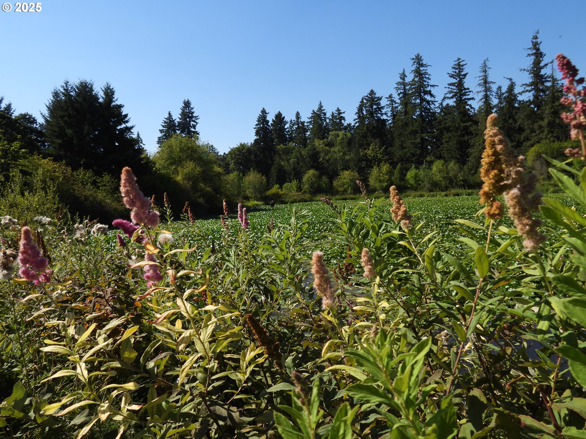 19130 SW 51ST AVE, Tualatin