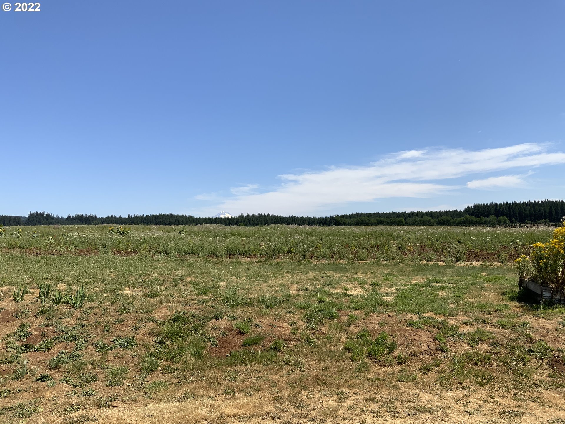 27480 S Beavercreek RD