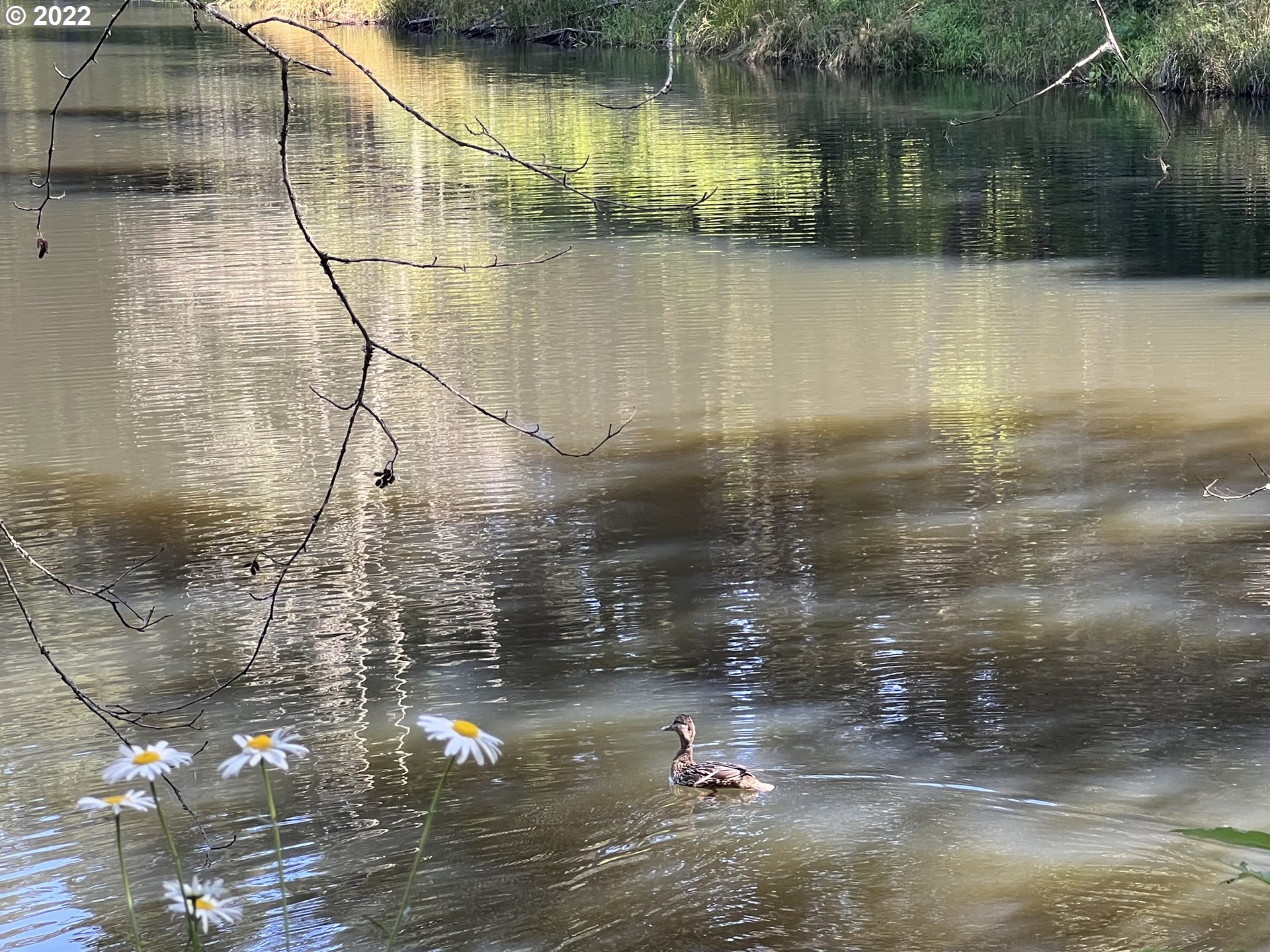 27480 S Beavercreek RD