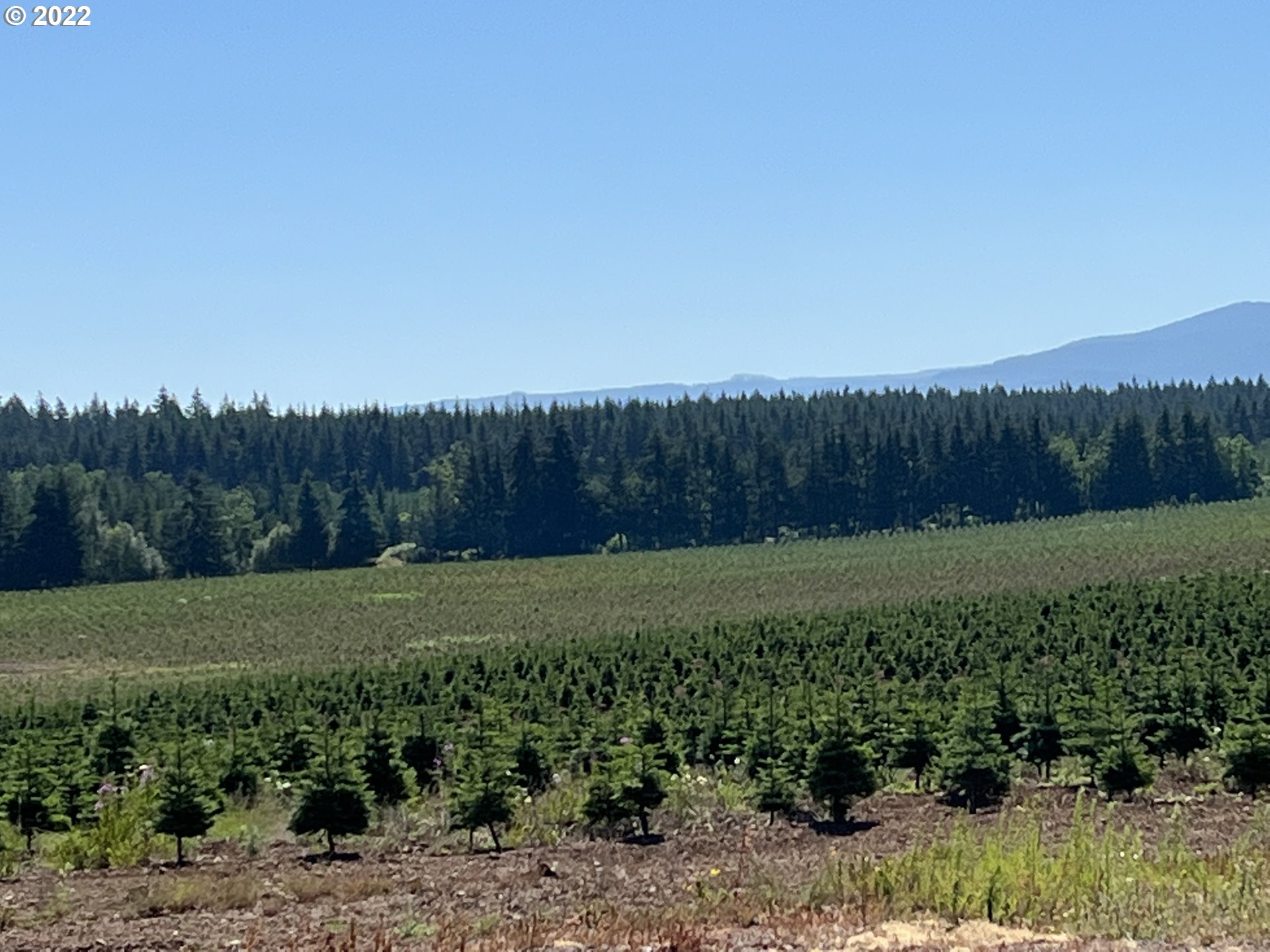 27480 S Beavercreek RD