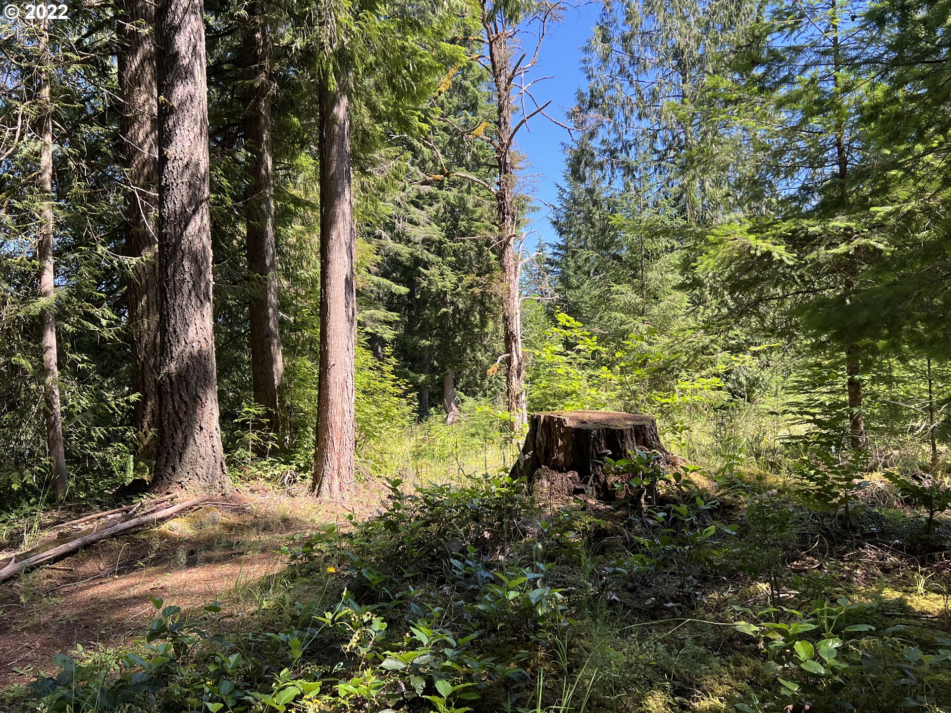 27480 S Beavercreek RD