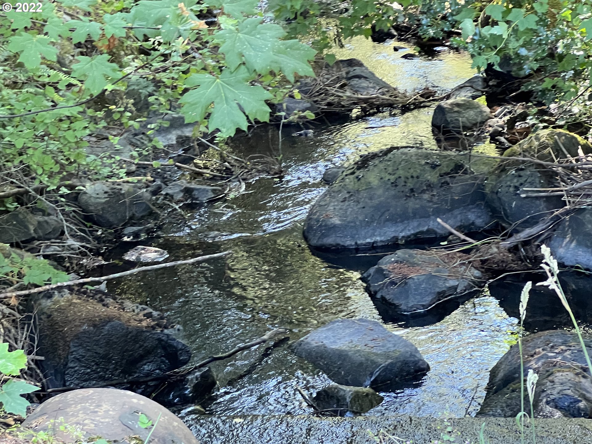 27480 S Beavercreek RD