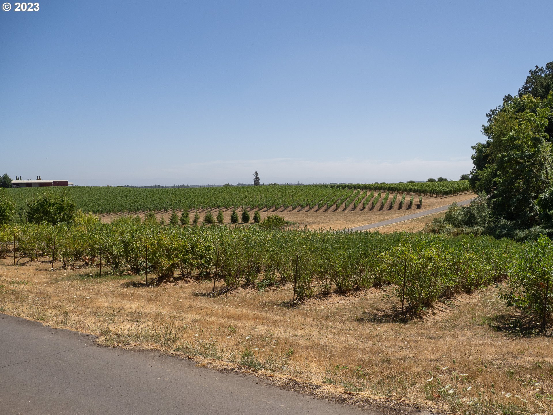 11300 SE WESTLAND LN